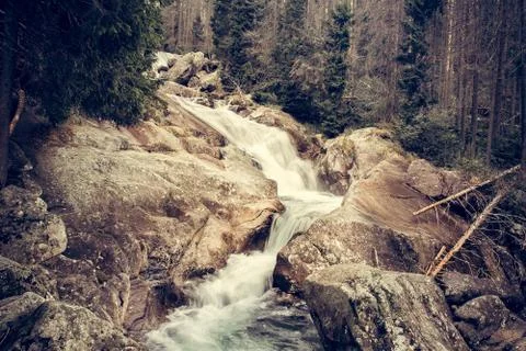 Strong river stream in forest Stock Photos