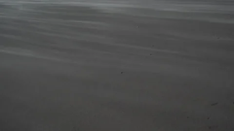Strong Sand Streams Sweeping with High Speed the Beach, Atlantic Coast Argentina Stock Footage 194649525