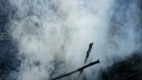 Strong smoke from fire fire Stock Footage 149789878