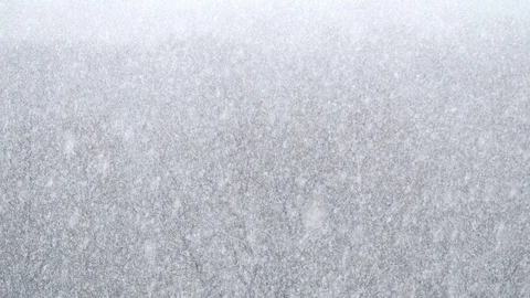 Strong snowfall over forest Stock Footage 105308299