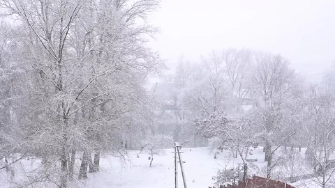 A strong snowfall with trees on the background. Camera rotating. Stock Footage 125233889