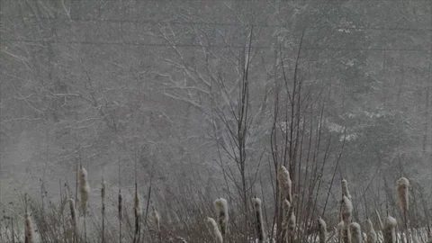 Strong Snowfall In Winter Stock Footage 84857984