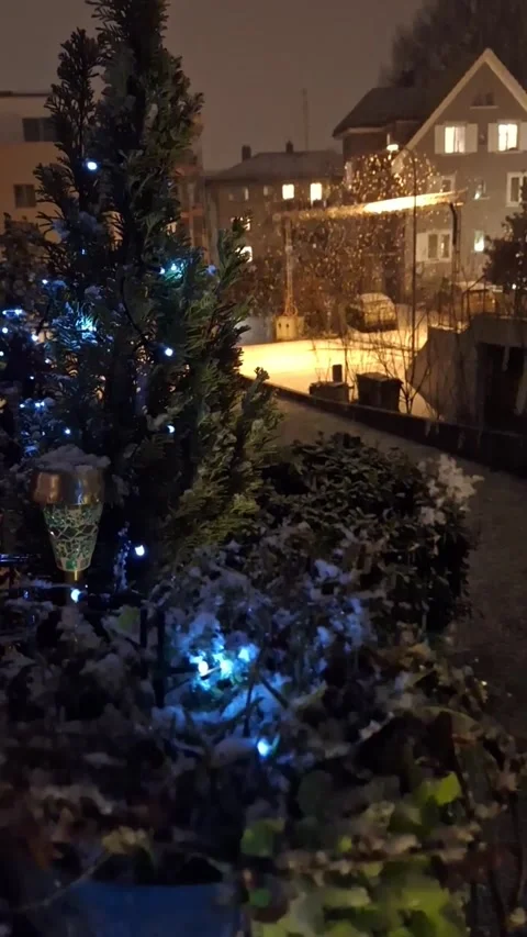 A strong snowstorm in Zurich Stock Footage 337799287