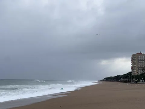 Strong Storm on the Beach Stock Footage 315646302