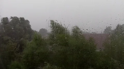 Strong storm with rain and lightning - trees wind Raindrops Stock Footage 115077238