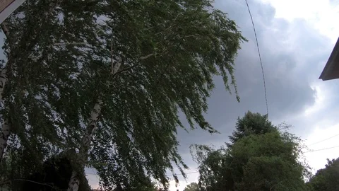 Strong storm wind blows Stock Footage 91065456