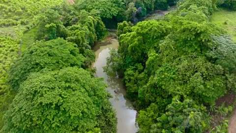 A strong stream with bends of a crystal clear mountain river. Stock Footage 342535567