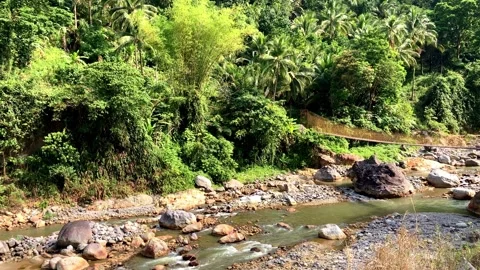 A strong stream of mountain river crystal clear and icy water tends to the Stock Footage 245948447