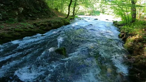 Strong stream of mountain river passing trough forest. Video stock 211440557