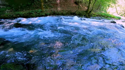 Strong stream of mountain river passing trough forest. Vidéo 211440792