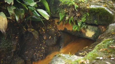 Strong stream of water pollution in the forest Stock Footage 100723103