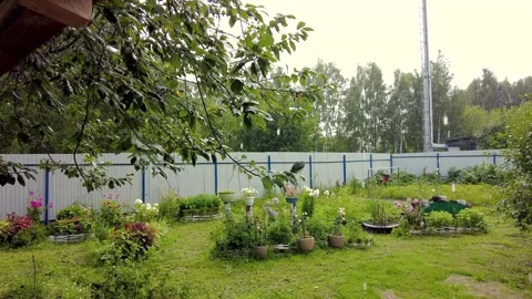 Strong summer rain in the garden. Stock Footage 281421871
