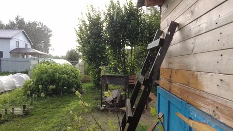 Strong summer rain in the garden. Vídeos de archivo 281422326