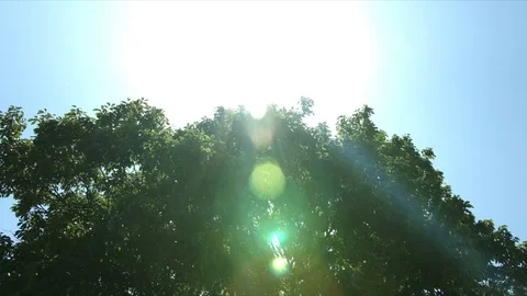 Strong sunshine of summer Stock-Footage 76454156