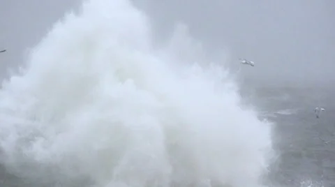 Strong surf closeup with seagulls. Slow motion. Video stock 65299082