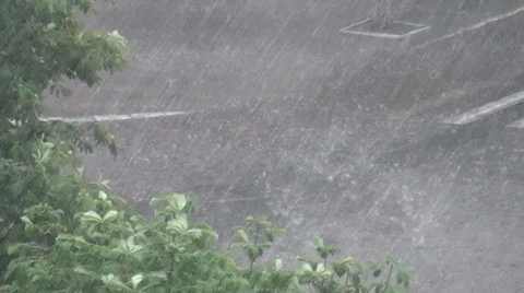 Strong thundershower Stock Footage 35608195