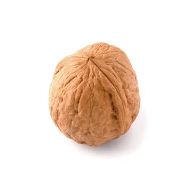 Strong walnut isolated on white background. 库存照片