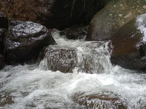 Strong Water Current Flowing Through Rocks in Forest Stream Foto stock