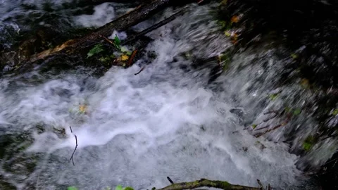 Strong water flow in the forest Stock Footage 142462497