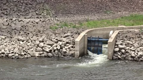 Strong water flow at sluice gate with heron Stock Footage 336198014