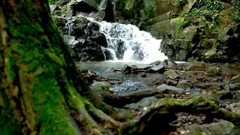 Strong water flows After heavy rain on a mountain that is a forest. Stock Footage 124807373