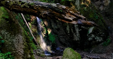 Strong water flows After heavy rain on a mountain that is a forest. Stock Footage 126008133