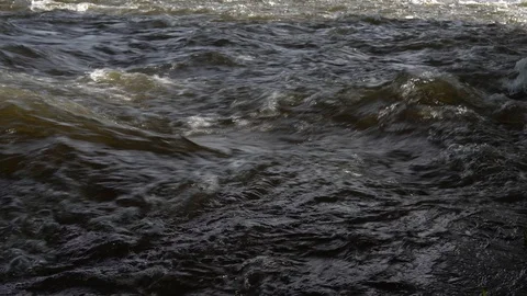 Strong water stream flows across the stones, close up. River rapids. 4K Video stock 124611473