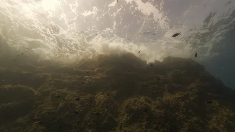 Strong wave against rocks and damselfishes from below, Mediterranean sea, Italy Stock Footage 112200472