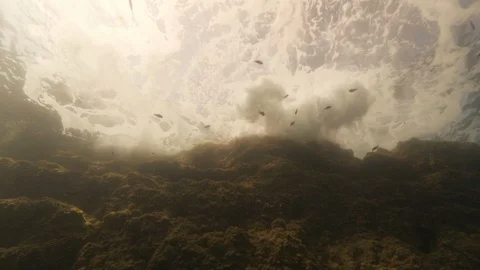 Strong waves against rocks and damselfishes from below, Mediterranean sea, Italy Stock Footage 111865229