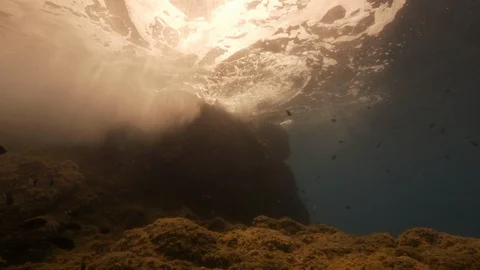 Strong waves against rocks surrounded by damselfishes, Mediterranean sea, Italy Stock Footage 112002351
