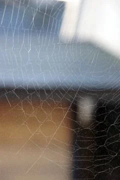 Strong web Stock Photos