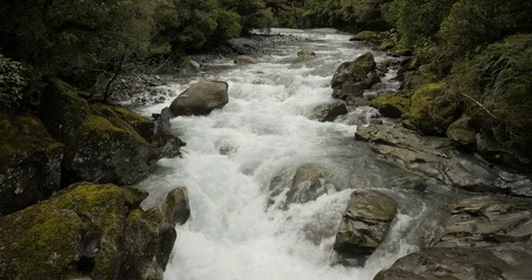 A strong white water river in flows in New Zealand Stock Footage 120319329