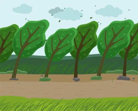 Strong wind and heavy fall of the leaves in the forest. Autumn concept. Wind Stock Illustration