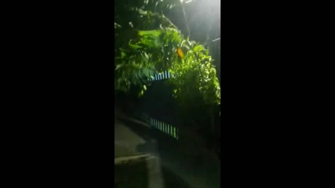 Strong Wind And Heavy Rain Brought by Typhoon Doksuri to Vigan City, Philipp... Stock Footage 247501518