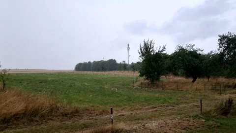 Strong wind and heavy rain battering rural landscape Stock Footage 317784218