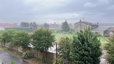 Strong wind and heavy rain bending trees during a severe thunderstorm Stock Footage 345828090