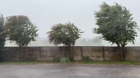 Strong wind and heavy rain during hurricane Stock Footage 345828095