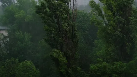 Strong wind and rain, trees swaying from the gusts, severe storm on the street. Stock Footage 277643273