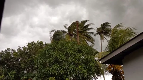 Strong wind and thunder Stock Footage 147662413