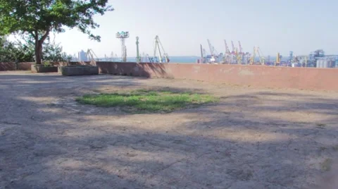 Strong wind and trees Stock Footage 49671757