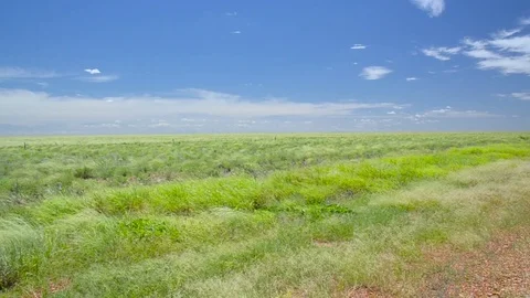 Strong wind on australian meadow 스톡 동영상 70839011