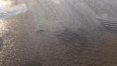 Strong wind on beach with incoming tide Vidéo 291804904