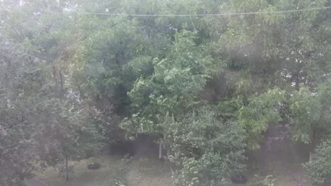 A strong wind bends and breaks trees. bad weather Shooting all over the glass. Video stock 201145742