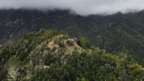 Strong wind bends trees on the mountain peaks in La Gomera Stock Footage 320765365