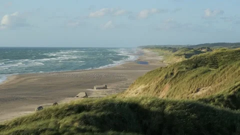 Strong wind blowing on grassy dunes along the coastline Stock Footage 338088097