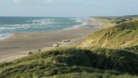 Strong wind blowing on grassy sand dunes overlooking the sea Stock Footage 338084584