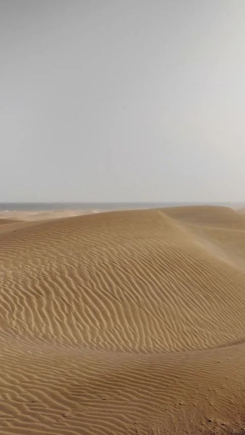 Strong wind blowing sand across desolate dunes Vídeos de archivo 329910456