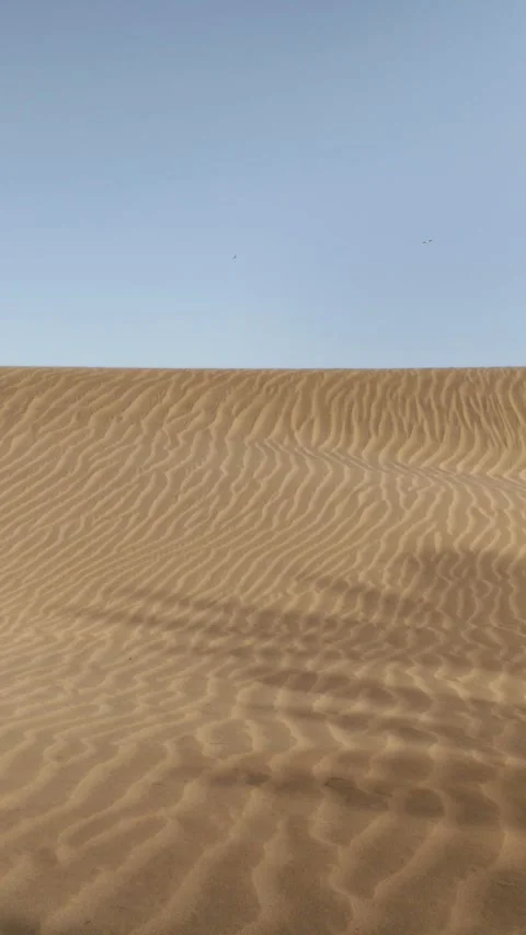 Strong wind blowing sand across dunes Video stock 329910457