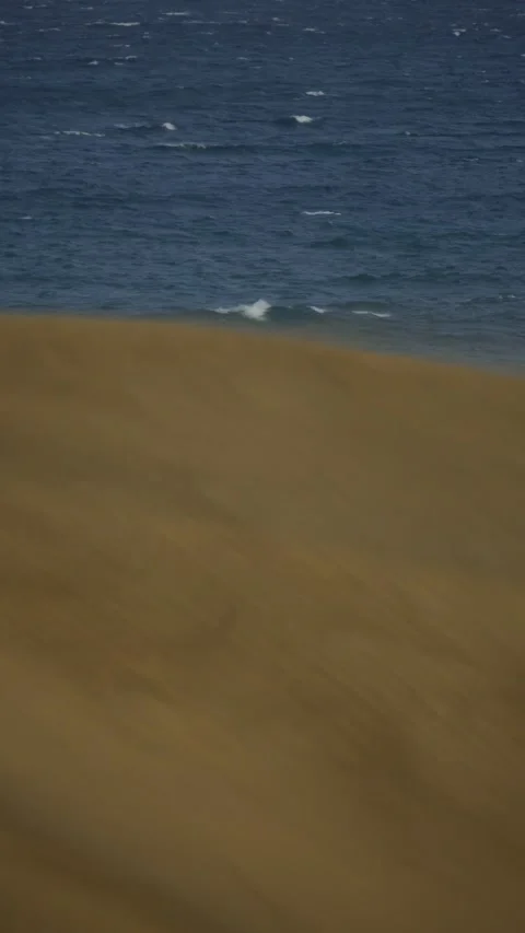 Strong wind blowing sand across dunes near the ocean during a storm Vídeos de archivo 330050156