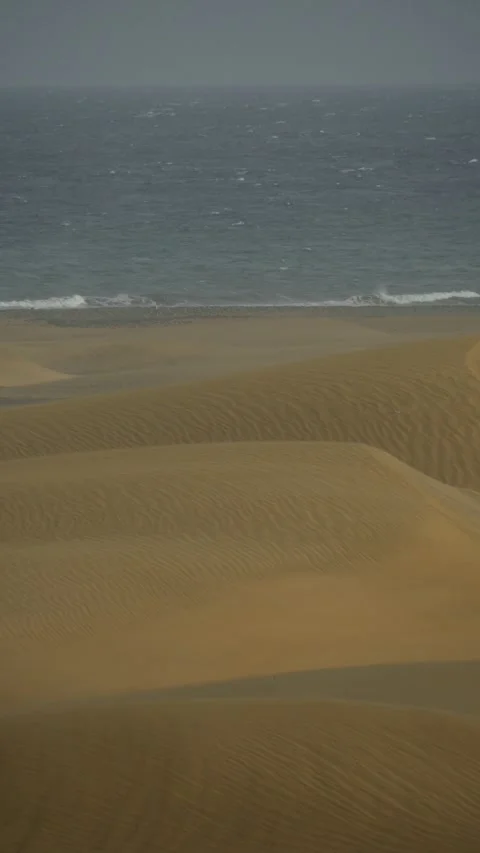 Strong wind blowing sand across desert dunes during a sandstorm Vídeos de archivo 330050157